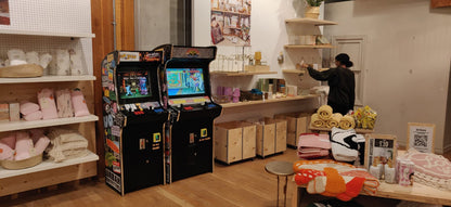 Evo Arcade Premium Custom Machine