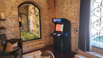 Evo Arcade Premium Custom Machine